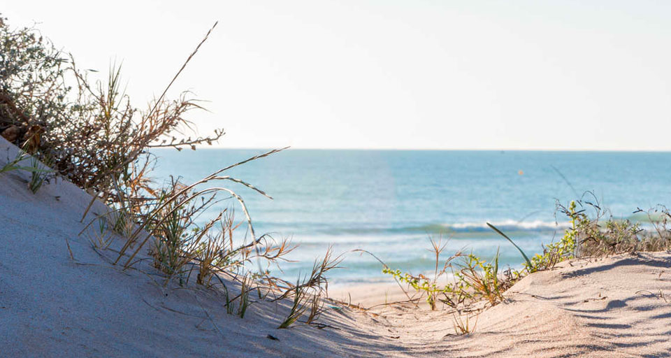 Playa de El Saler
